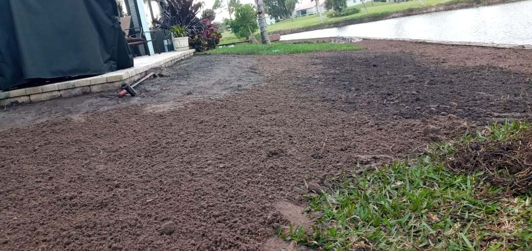 Fresh sod installation in West Palm Beach by Domi Landscape